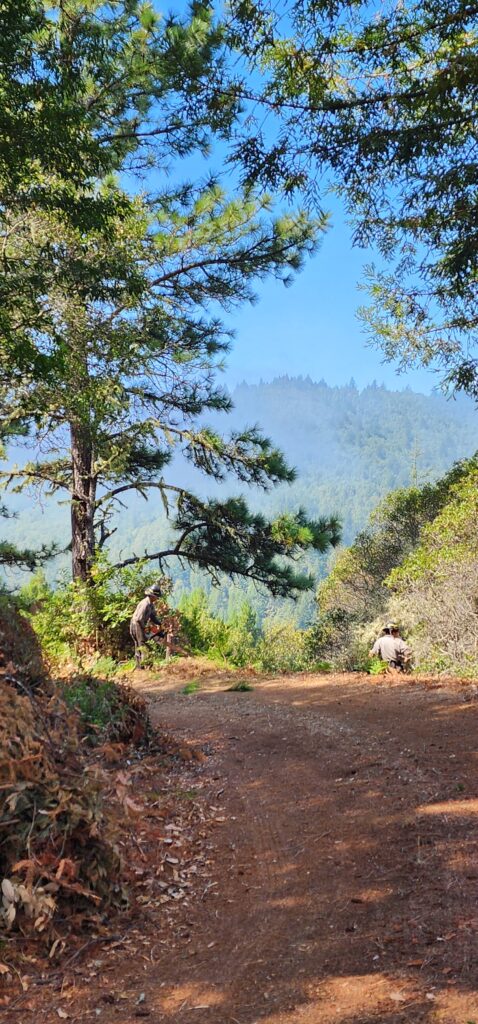 Cleared road with 2 forestry workers, hills and blue sky in the distance